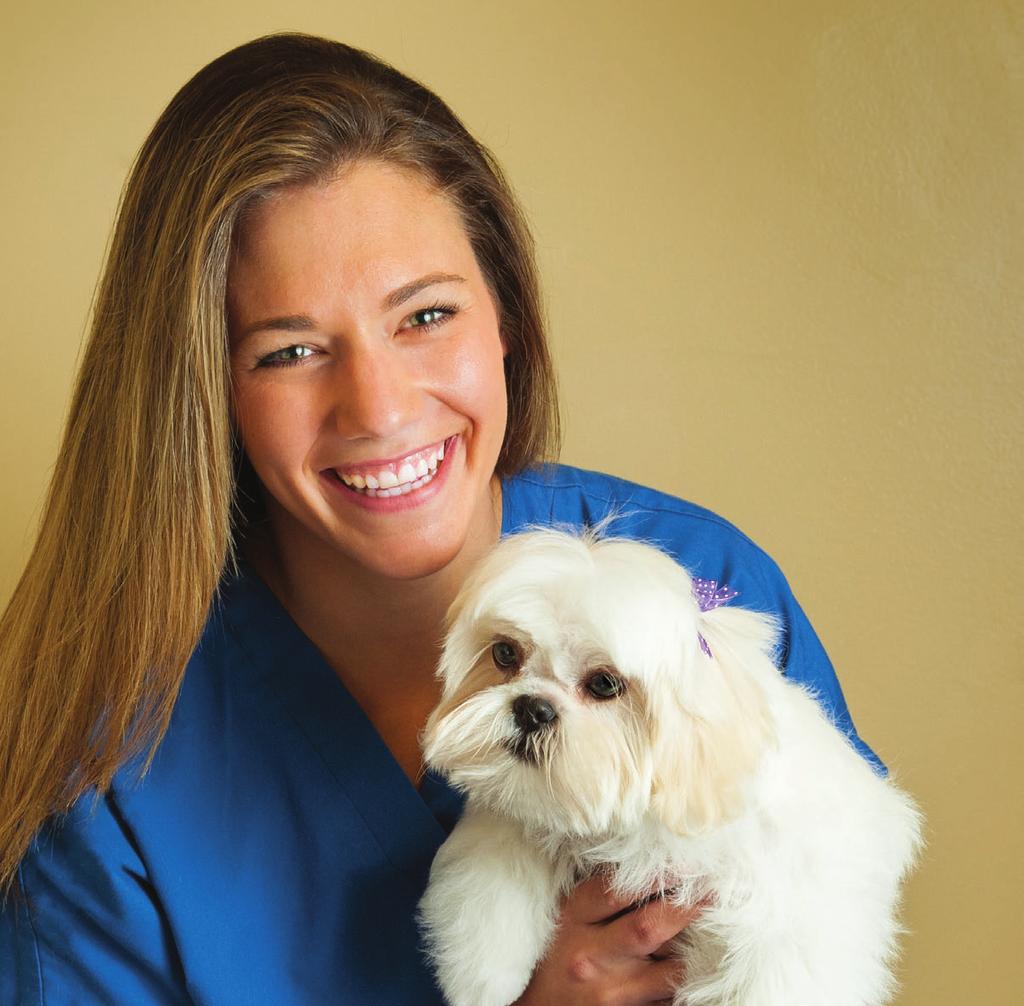 PRACTICE YOUR PASSION A little bit of periodontal disease can really hurt a pet, and CareCredit definitely helps our clients with yearly dentals.