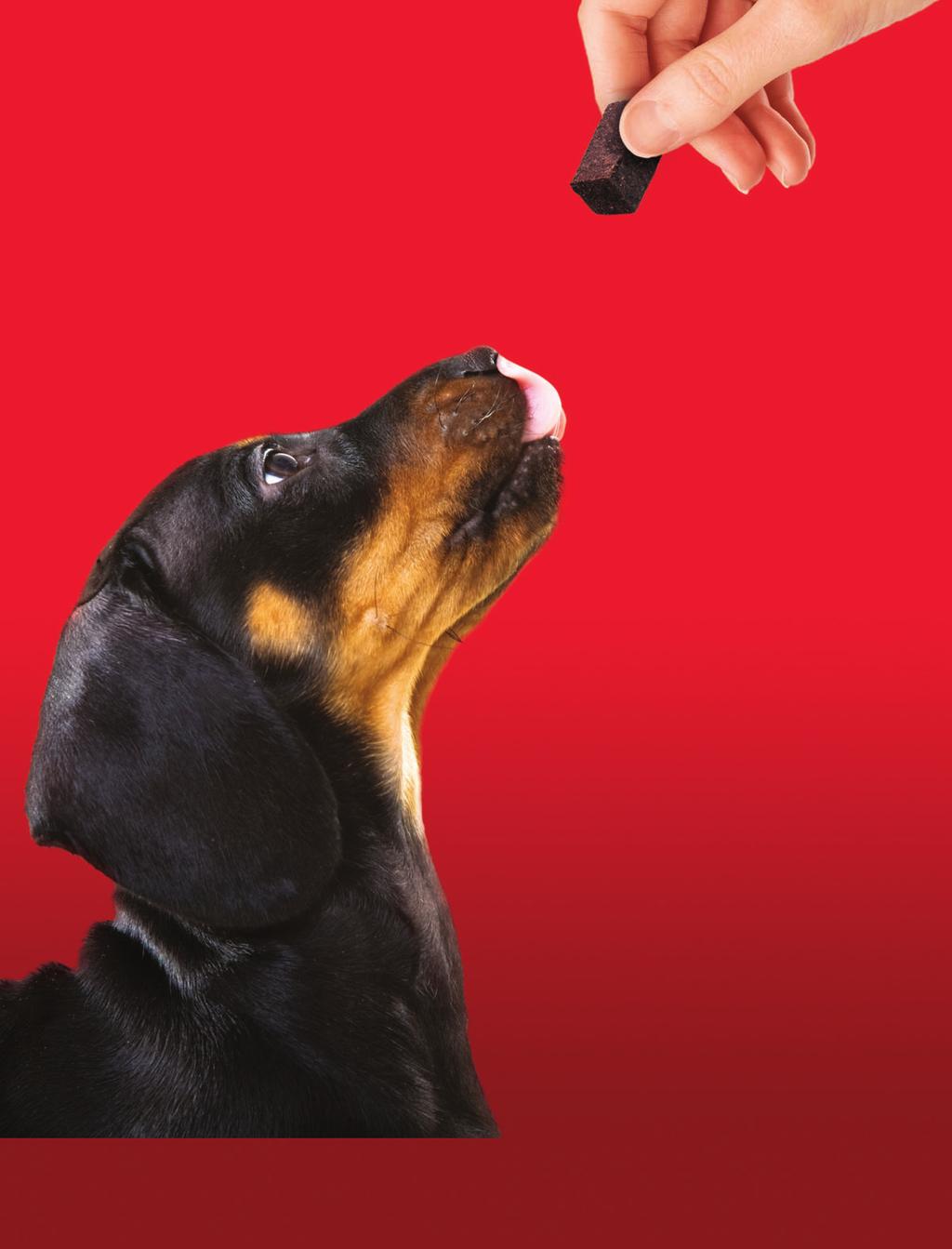 CHEW LOVE. It s easy to see how the Real-Beef Chewable supports your recommendation for year-round heartworm disease prevention.