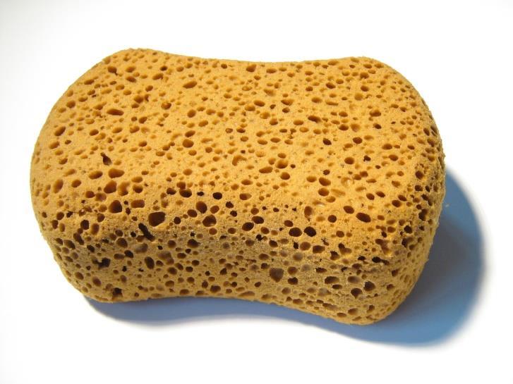 Litter moisture Litter is basically a sponge A sponge has