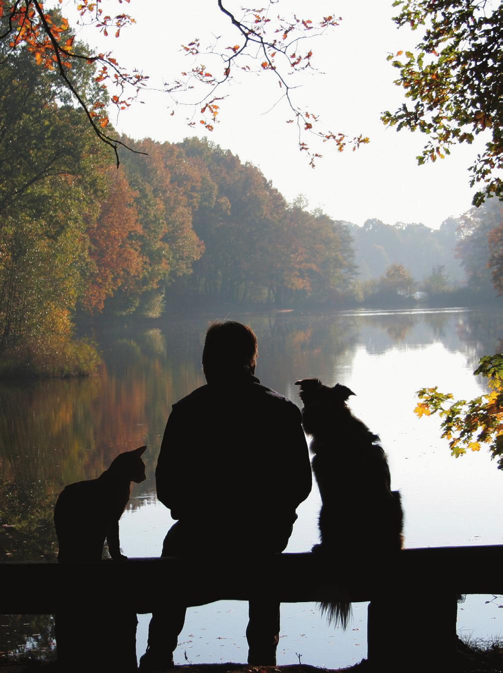 HONOR YOUR PET Guidance through the grief of losing a beloved