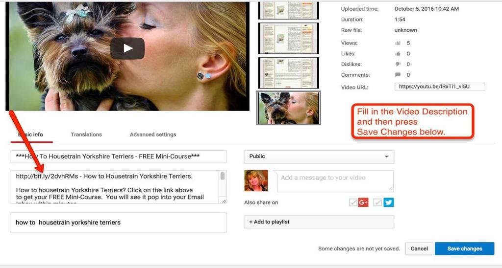 8. Fill in the YouTube description and keyword tags.
