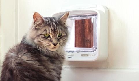 2011 Introduced the SureFlap Microchip Pet Door, with automated curfew mode, for larger cats and