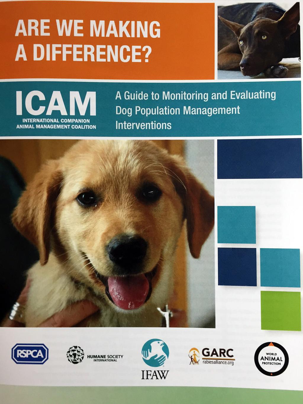 Great tool for measuring is ICAM s Are We Making a Difference?