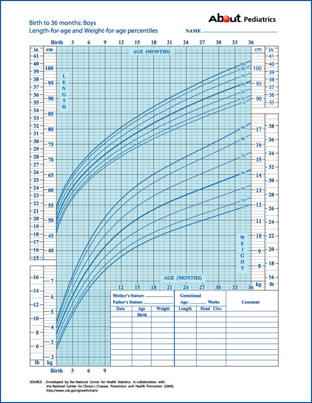 Calf Growth Chart: 1. How many inches does a calf grow in the first 2 years of her life? 2. How many pounds does a calf gain within the first 2 years of her life? 3.