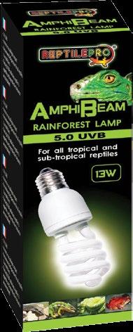 AMPHIBEAM DESERT LAMP-10.