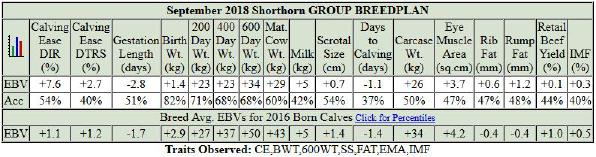 2018 Shorthorn Youth Auction Items Semen Lots Royalla Rockstar K274-4 Straws Homo Polled. Best breeding bull we have ever used.