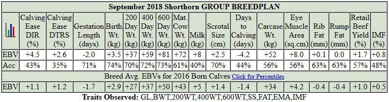 This young sire is out of a very productive female with an excellent calving interval and perfect udder.