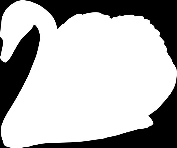 Swan - English Sitting -