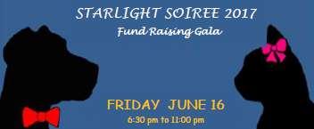 Page 9 STARLIGHT SOIREE APPETIZER. BUFFET DINNER. SILENT AUCTION. 50/50 DRAW. RAFFLE.