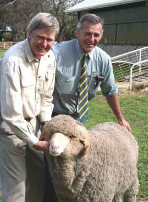 Pooginook held the biggest single vendor Merino Ram Sale in Eastern Australia last year when 203 Pooginook rams sold to a top of $7000 and averaged $1517.