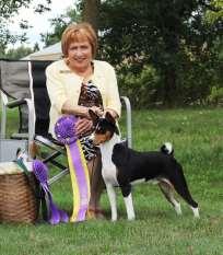 OUR JUDGES ROSEMARY YOUNG SPIRITSOUND IBIZANS Rosemary began showing dogs as a Junior Handler in 1984. She grew up with a Miniature Pincher and several farm dogs, horses and Texas Longhorn s.