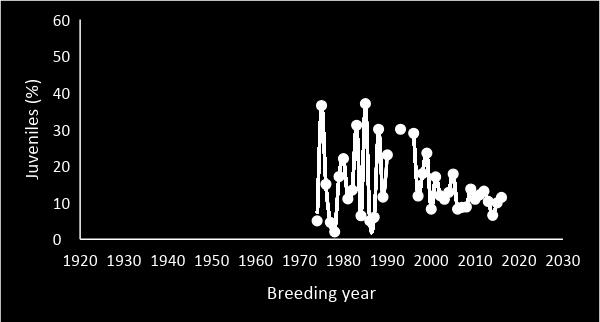Annex 1 Biological Assessment probably less from the breeding populations in the Netherlands). Dramatic changes in productivity have been reported, especially in the colonies in the Baltic, where e.g. the juvenile ratio in the summer population on Gotland declined from 60 % in 1984 to 4 % in 2003 (van der Jeugd et al.