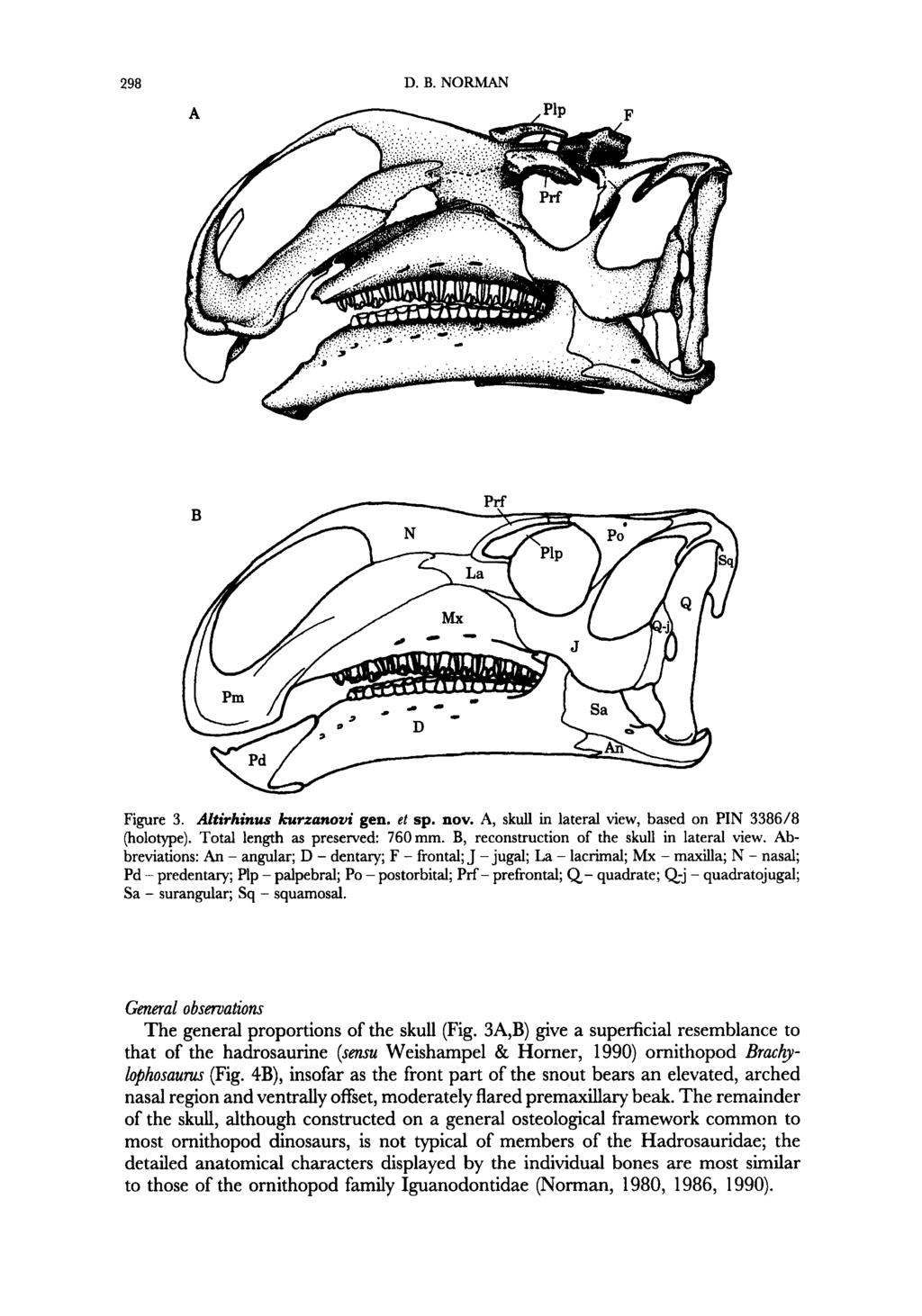 298 Figure 3. Altirhinus kurzanovi gen. et sp. nov. A, skull in lateral view, based on PIN 338618 (holotype). Total length as preserved 760mm. B, reconstruction of the skull in lateral view.