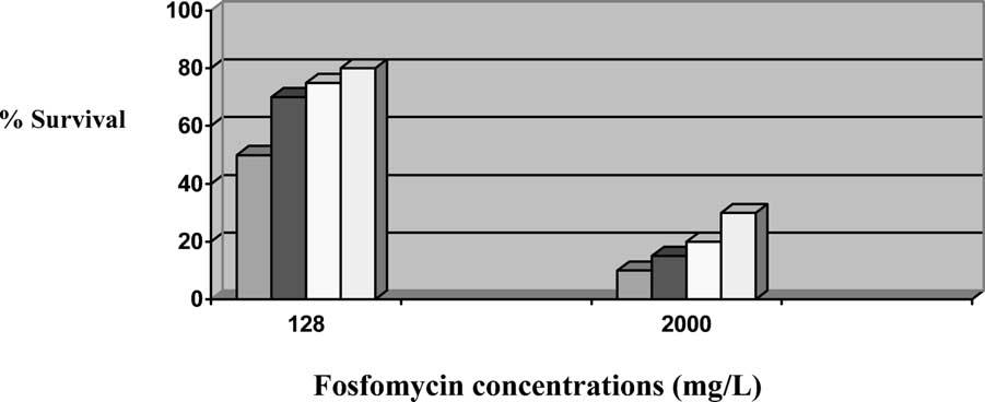 G.C. Schito / International Journal of Antimicrobial Agents 22 (2003) S79 /S83 81 Fig. 1. Survival of E. coli (four strains) in mature (48 h) biofilms after exposure (24 h) to fosfomycin trometamol.