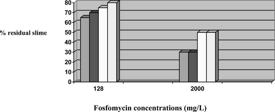 82 G.C. Schito / International Journal of Antimicrobial Agents 22 (2003) S79 /S83 Fig. 2. Disruption of E. coli (four strains) in mature (48 h) biofilms after exposure (24 h) to fosfomycin trometamol.