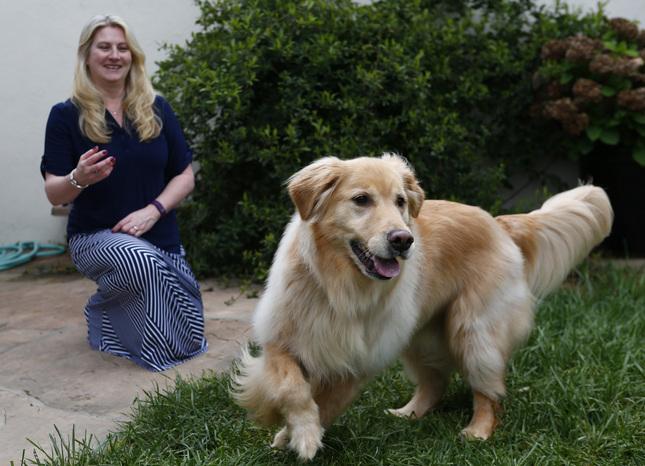 Leona Messink plays with Brewer, her 4-year-old golden retriever, at their home in San