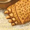 To cool itself off, it sweats from the pads of its feet! You may see little wet footprints on a hot day. b.
