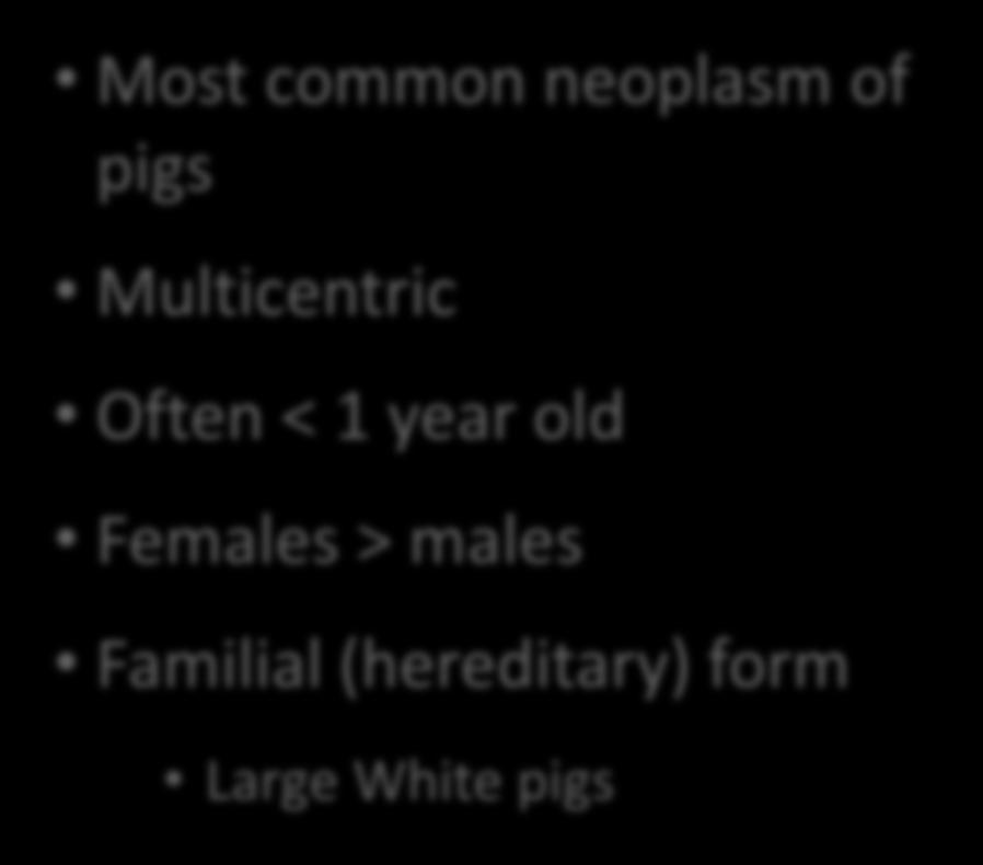Most common neoplasm of pigs