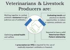 (b) Medically important AMDs may also be used when, in the professional judgment of a licensed veterinarian, it is needed for prophylaxis to address an