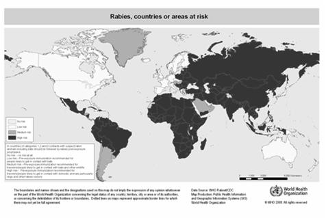 Humans generally dead-end hosts Bats (non-terrestrial) and Rabies Most common source of human infection in US Since 1990, > 90% of endemically acquired rabies in the US Exposure to bat not always