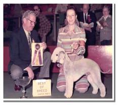 her Bedlington terriers 1976 Hardy