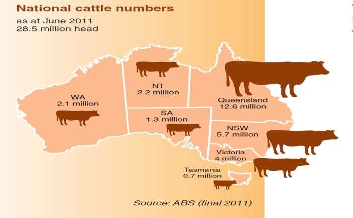 3 Figure 1 National cattle numbers Graphic courtesy of Meat & Livestock Australia. The red meat industry employs approximately 200,000 workers across the farm, processing and retail sectors.