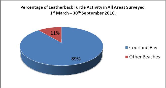 Fig. 12. The minimum curved carapace width or (CCW) for Leatherbacks recorded was 98 cm and the maximum was 134cm, with a mean average of 116cm (Figure 13).