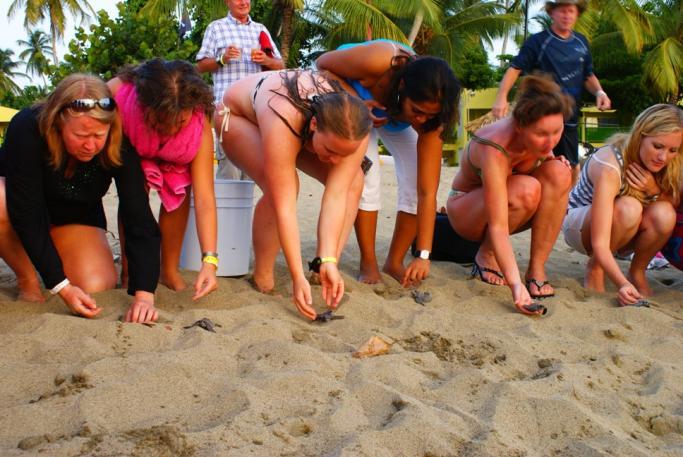 Photo: Visitors take part in a sea turtle hatchling release. Turtle Beach, Tobago. G. Lalsingh.