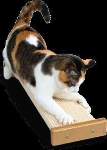 5 W x 19 H Bootsies Combination Scratcher #1 This scratcher can be