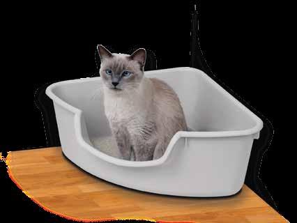litter solutions Domestic cats can be easily litter box trained.