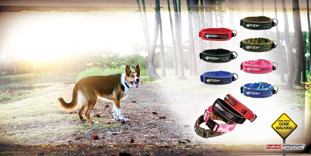 EzyDog NEO Collars NEO COLLARS 25mm WIDE The EzyDog Neoprene Classic Collars offer the best in comfort, style and durability.