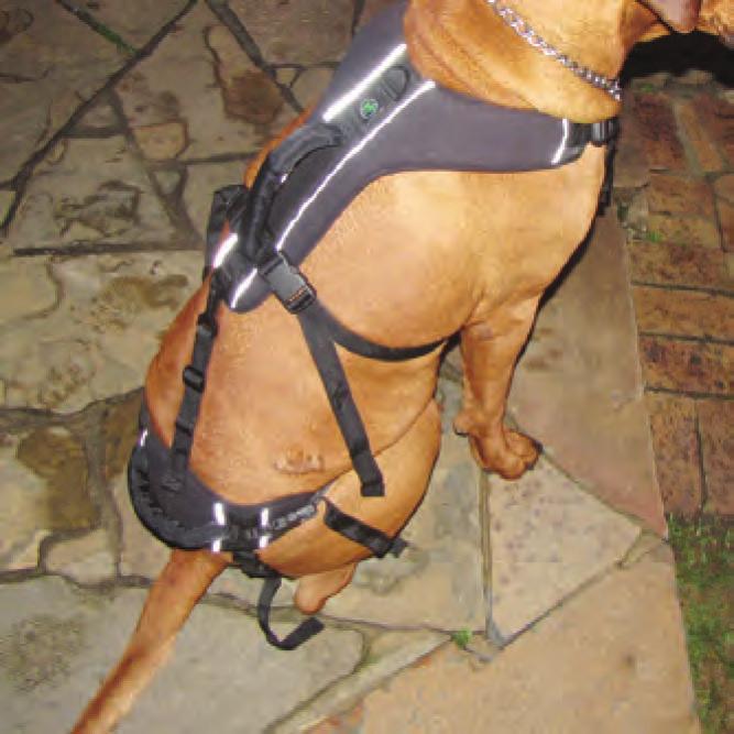FEATURES Fully adjustable front and hind limb harness. 4 sizes available. Now you can help your pet get up from a lying position, walk up and down the stairs, and get into and out of the car.
