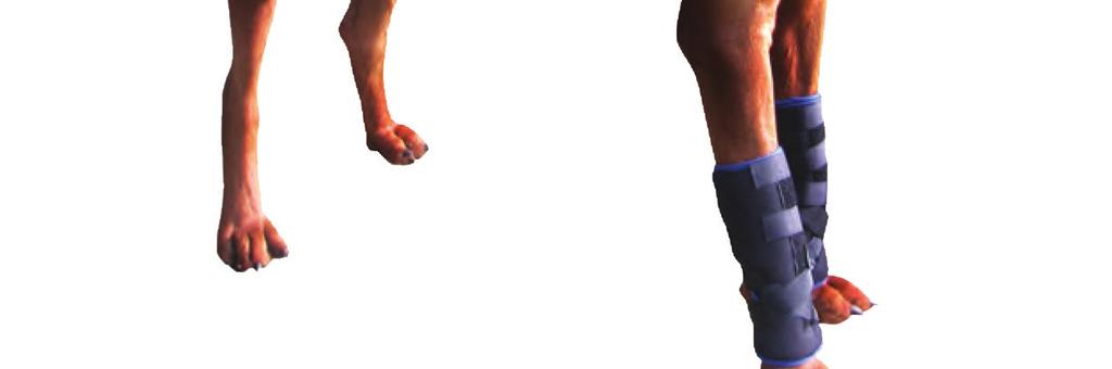 CARPAL AND TARSAL SUPPORT FEATURES Available in 5 sizes. Mild to moderate joint support.
