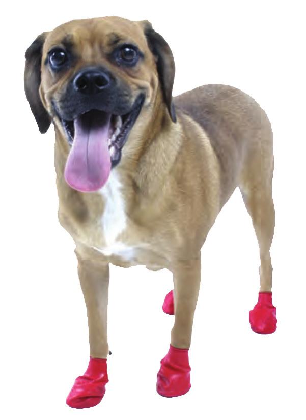 STICKY PAWZ This is an imported product repackaged by Holisticpet Slippery floors such as tiles and wooden floors can make it difficult for pets to move around the house with ease especially when
