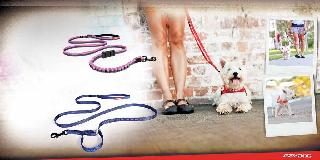 LITE TM LEASHES FOR THE SMALLER FRIENDS Recommended for dogs under 12kgs (26.