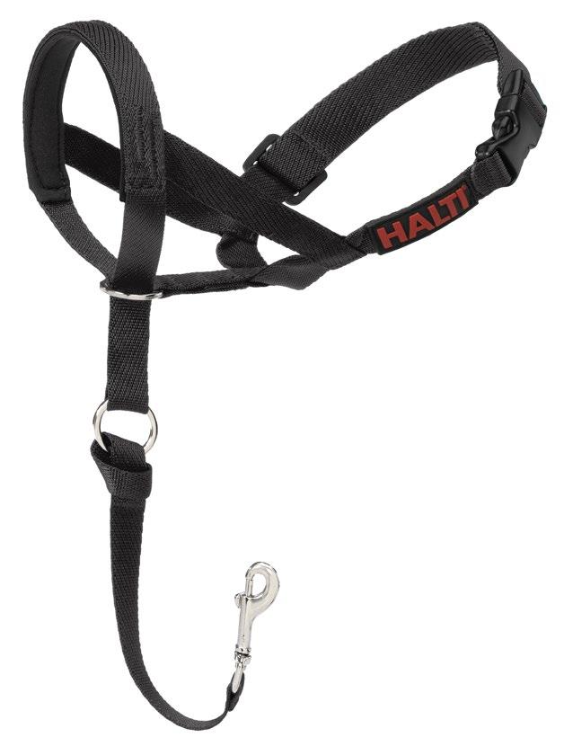 during walks, the HALTI Headcollar is highly effective yet gentle on your dog to immediately stop pulling on the lead.