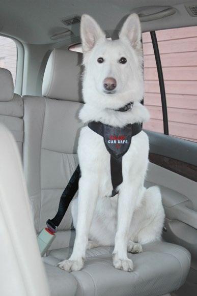 CLIX CarSafe The Clix CarSafe is an in-car safety harness that provides maximum comfort