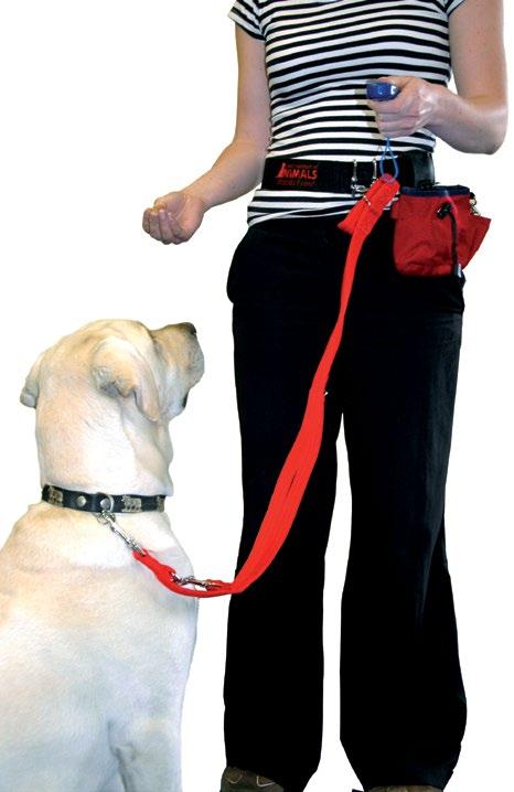 to use with the HALTI Training Lead The CLIX Hands Free is a practical waist belt that provides you with