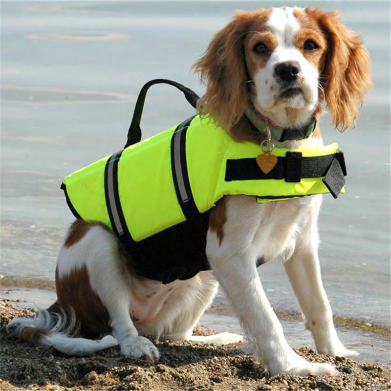 Item No:DogLife )Life jacket built with