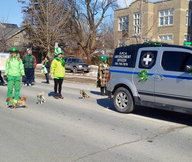 Patrick s Day Parade The PHS would
