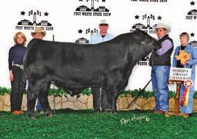 Consignor: Curry Wagner CWSF Abby A16 25 SSC Miss Tiara 95A Purebred ASA# Pending BD: Tattoo: 95A SVF/NJC Built Right N48 NJC Ebony Antoinette Harkers/JS Domination SSC Red Robin 113Y Miss Meyer P439