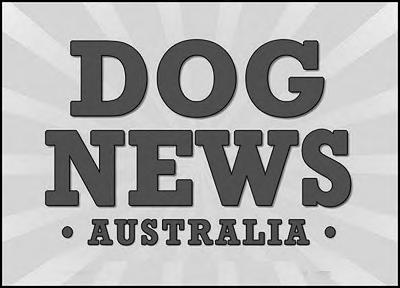 Western District Boxer Club of NSW American Staffordshire Terrier Club Basenji Club of NSW Boxer Club of NSW Chihuahua Club of NSW - Feature Show Dachshund Club of NSW Newfoundland Club of NSW