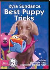 10-MINUTE DOG TRAINING GAMES QUICK AND CREATIVE ACTIVITIES FOR THE BUSY DOG OWNER Each game will boost