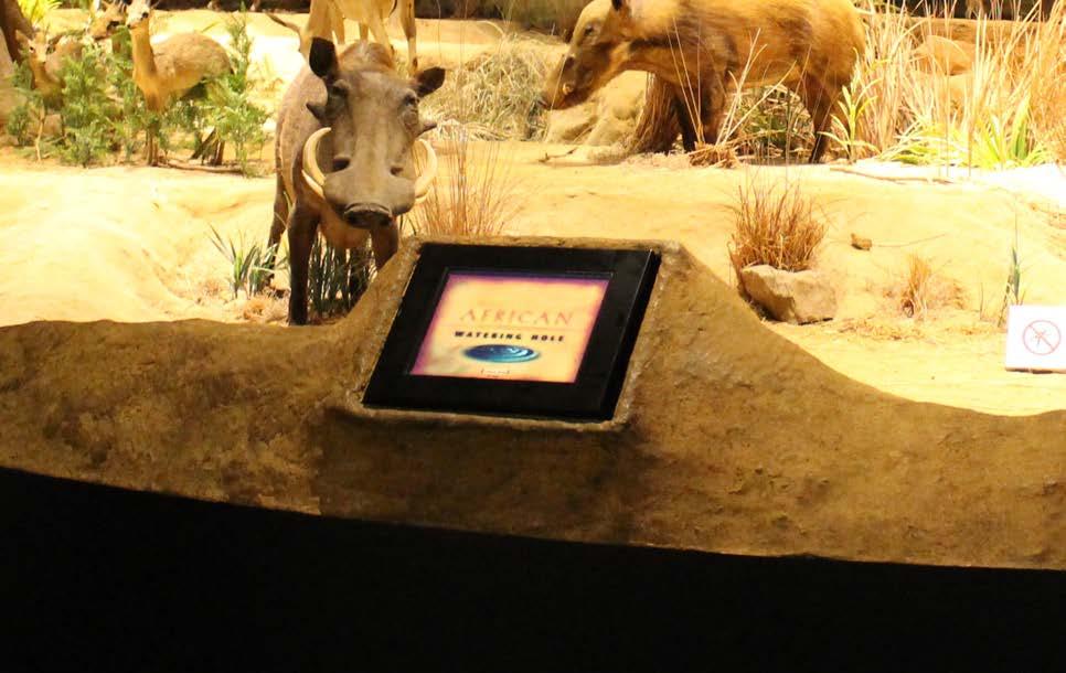 There are touch screens on the side of the watering hole where I can tap the