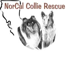 Annual Report & Financial Statement 2007 NorCal Collie Rescue a 501(c)(3)