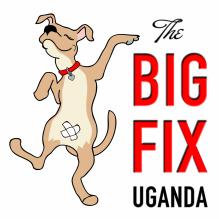 The BIG FIX Uganda Dog Hospital and Guest House Plot 297, Block 2, Koch Village, Gulu P. O. Box 566, Gulu, Uganda + 256 783 299 456 sas4dogs@yahoo.com www.thebigfixuganda.