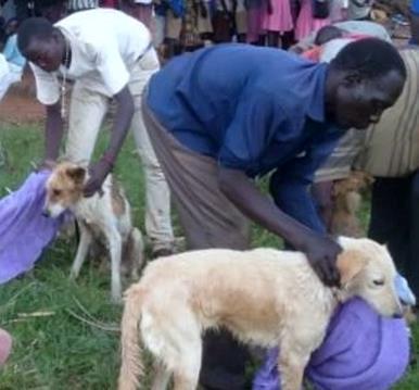 These passionate animal advocates work in eight villages per month and educate dog guardians one-on-one, with the aim of giving