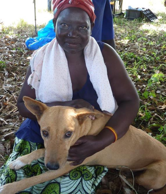 Healing War Trauma The Comfort Dogs Project s Community Psychologist holds group counseling sessions for war trauma survivors in ten villages per month.