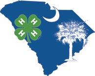 South Carolina 4-H/FFA Cavy Project Cloverbud Record Book This was my year in the Cavy Project!