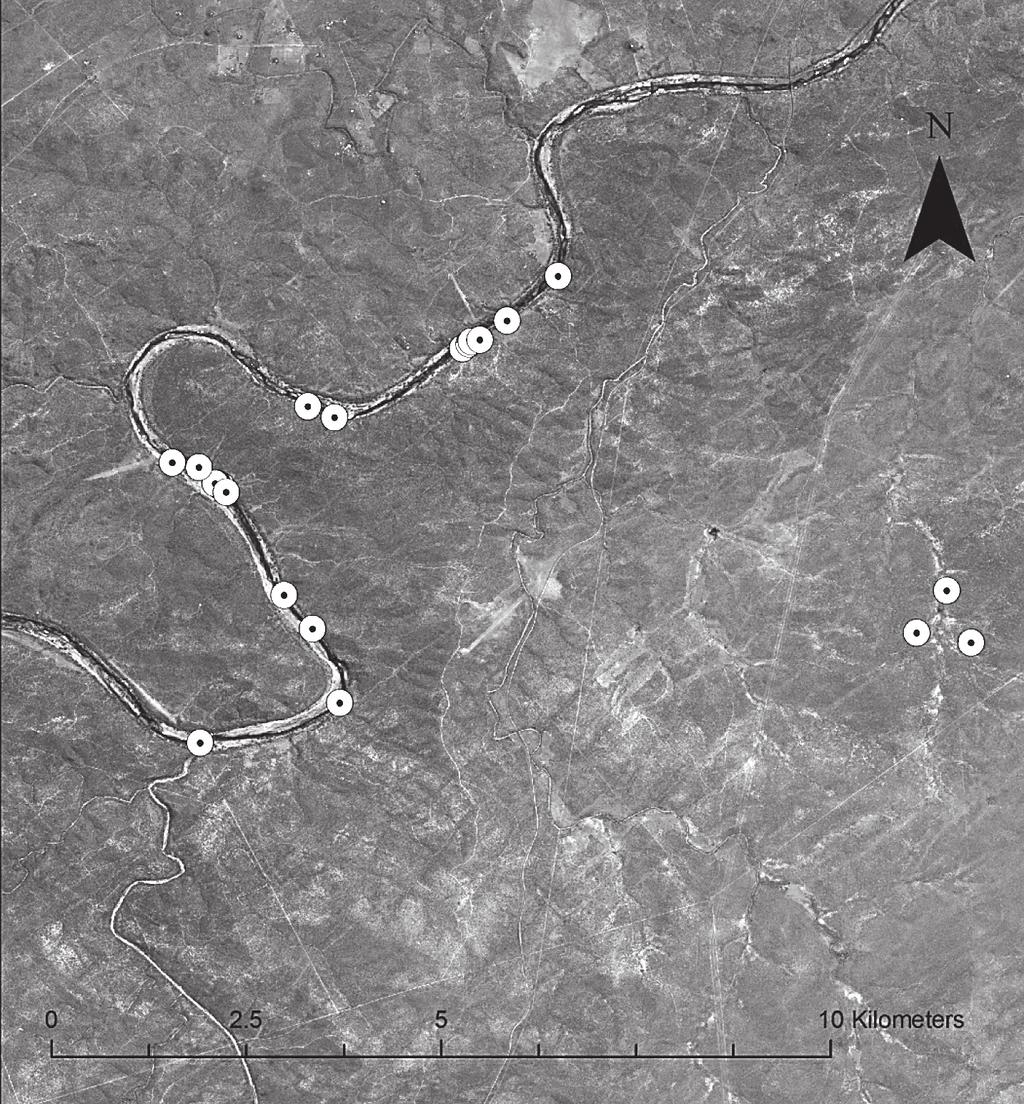 4 Monadjem, Wolter, Neser and Bildstein Sample site Figure 2: Distribution of African White-backed Vulture nests along the Olifants River and elsewhere within Olifants River Private Nature Reserve in